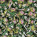 St Patrick's Day Candy Mix - 4 Pound Bulk Pack - Sour Apple Popping Rocks and Gum-Filled Lollipops - Individually Wrapped Party Favors & Goodie Bags