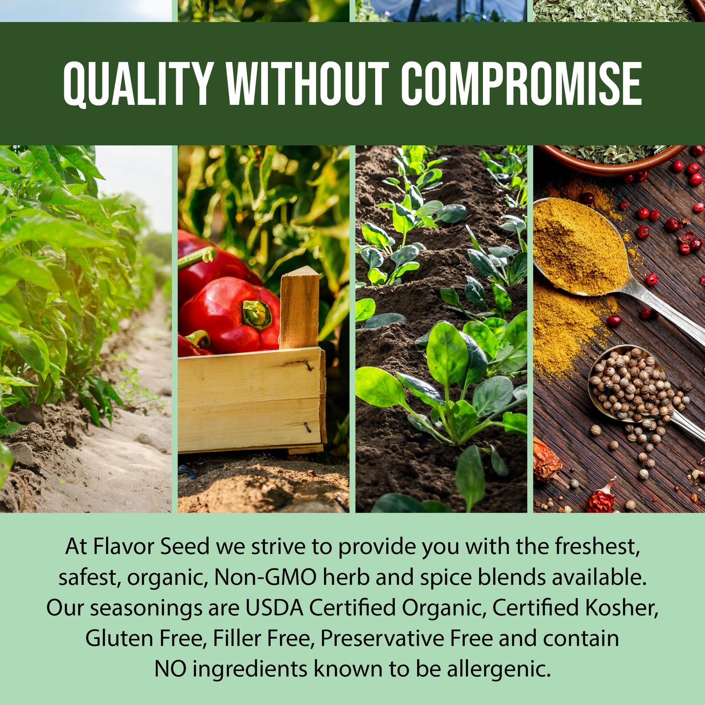 Organic No Salt Seasoning - Zilch Nada None by Flavor Seed, Salt Substitute for Cooking with Herbs & Spices, All Purpose Seasoning for Meat, Fish