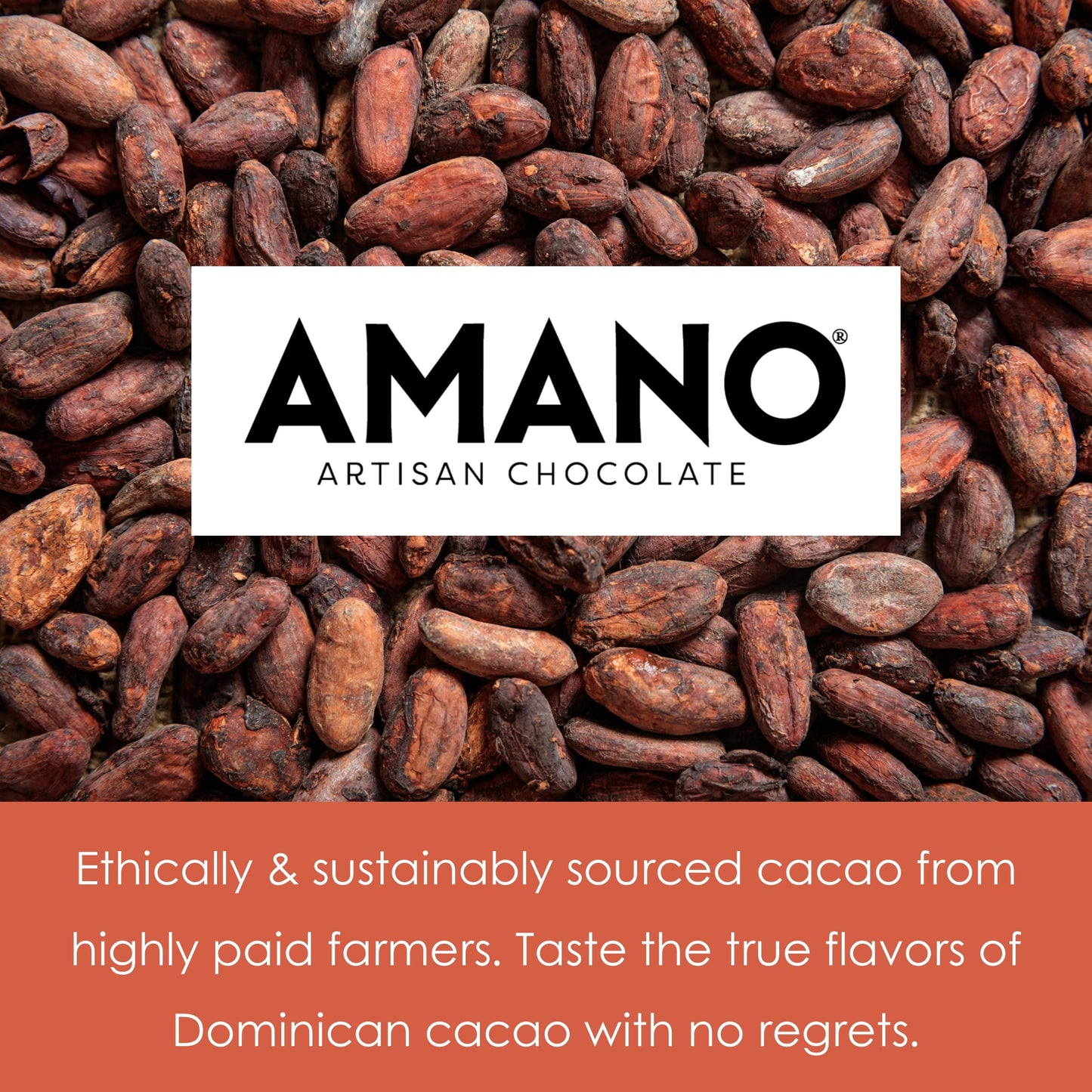 Amano Artisan Chocolate Bundles (3 Pack, Madagascar 70%)