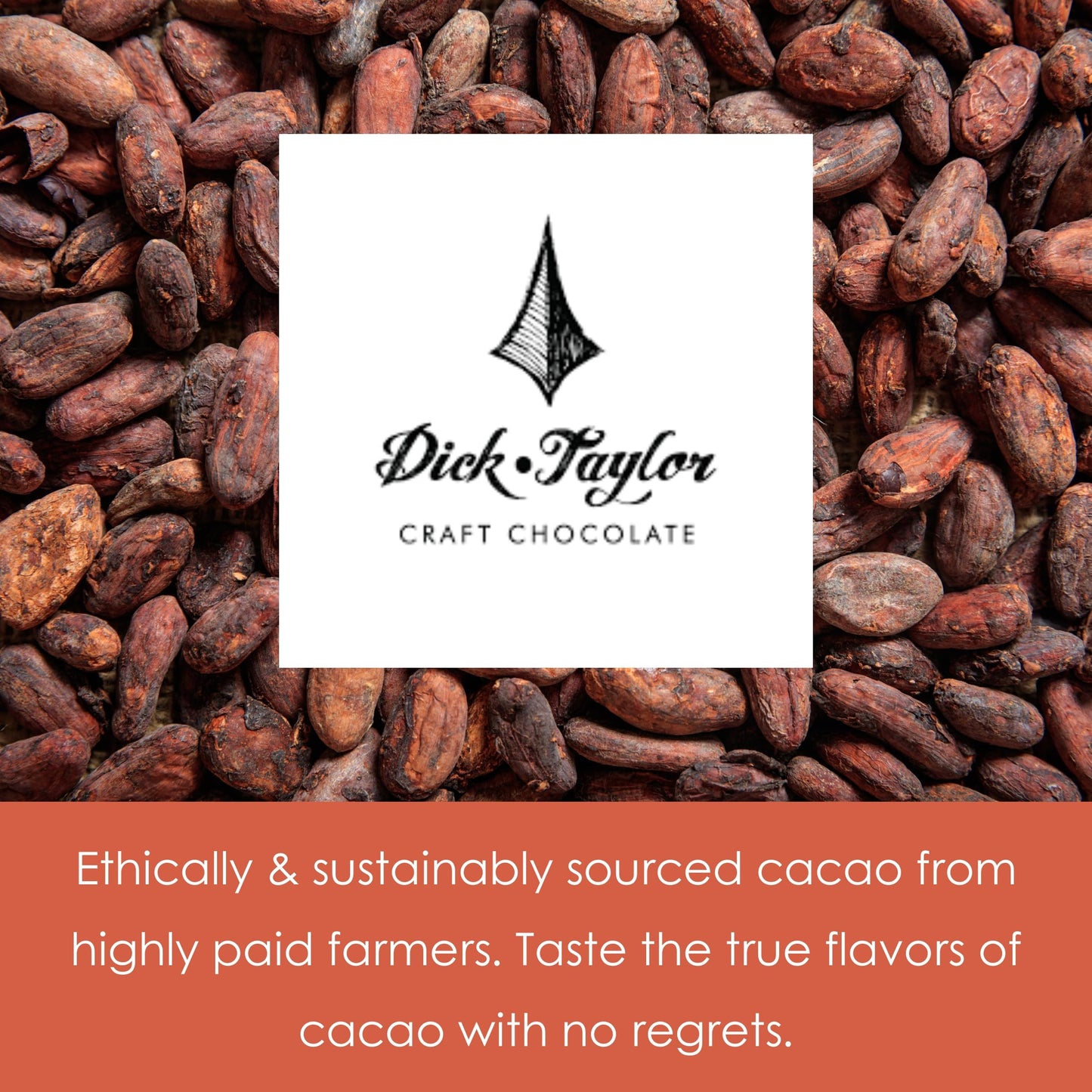 Dick Taylor Fleur De Sel 73% Dark Chocolate 3 Pack - California Chocolate - Premium, Organic, Craft, Artisanal, Direct Trade, Single Origin