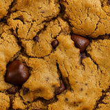 Toto Soft-Baked: Sea Salt Chocolate Chip Cookies with Whole Foods & Superfoods | Vegan, Gluten-Free, 8g Plant-Based Protein, No Artificial Sweeteners