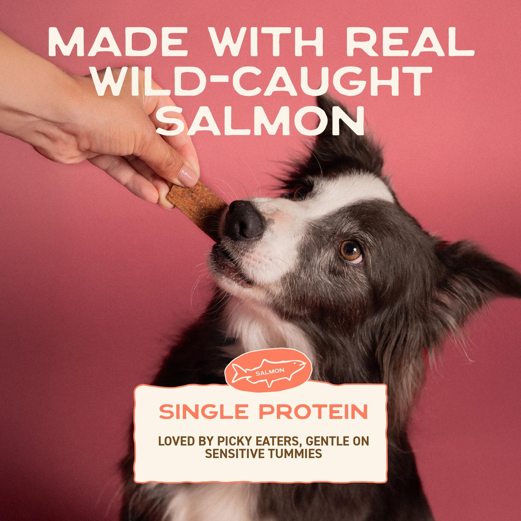 Smart Cookie Salmon Jerky Dog Treats - DHA & Omega Strips for Dogs & Puppies with Allergies, Sensitive Stomachs with Wild Caught Alaskan Salmon