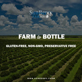 Sunberry Farms Guava Nectar, 64 fl oz Bottle | Exotic Tropical Juice Drink | Non-GMO, No High Fructose Corn Syrup | Refreshing Guava Beverage