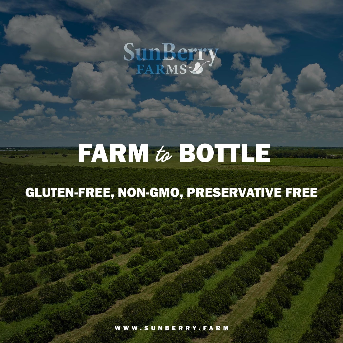 Sunberry Farms Mango Nectar, 64 fl oz Bottle | Exotic Tropical Juice Drink | Non-GMO, No High Fructose Corn Syrup | Refreshing Mango Beverage