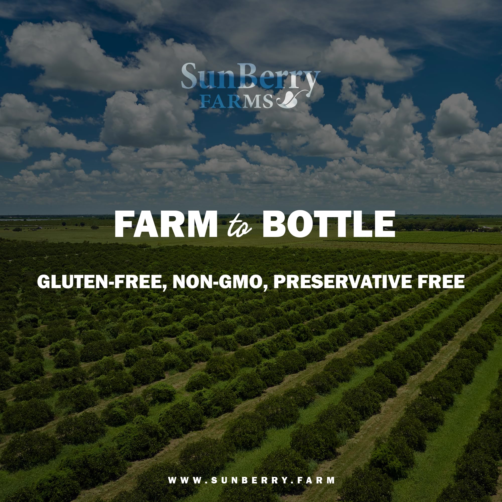 Sunberry Farms Mango Nectar, 64 fl oz Bottle | Exotic Tropical Juice Drink | Non-GMO, No High Fructose Corn Syrup | Refreshing Mango Beverage