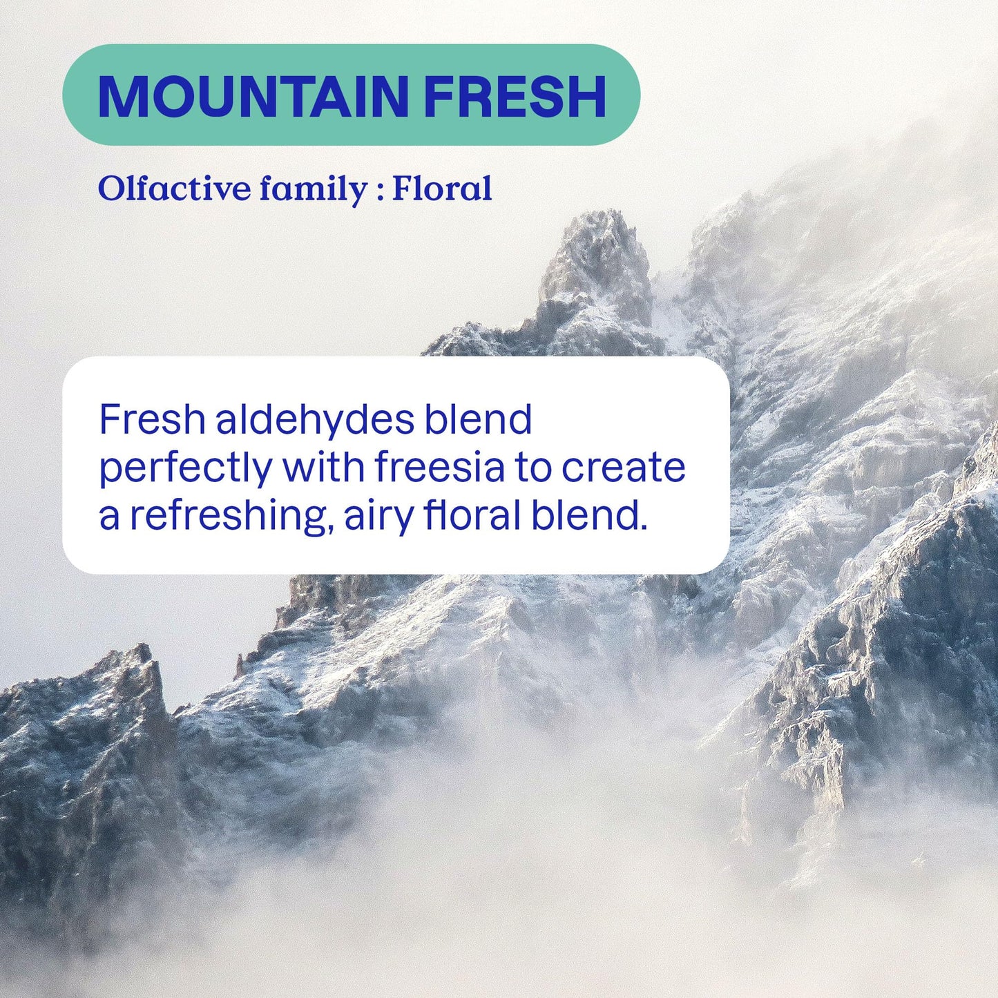 ATTITUDE 2-in-1 Laundry Detergent & Fabric Softener, Plant- & Mineral-Based, HE Compatible, Vegan, Mountain Essentials, 35 Loads, 35.5 Fl Oz
