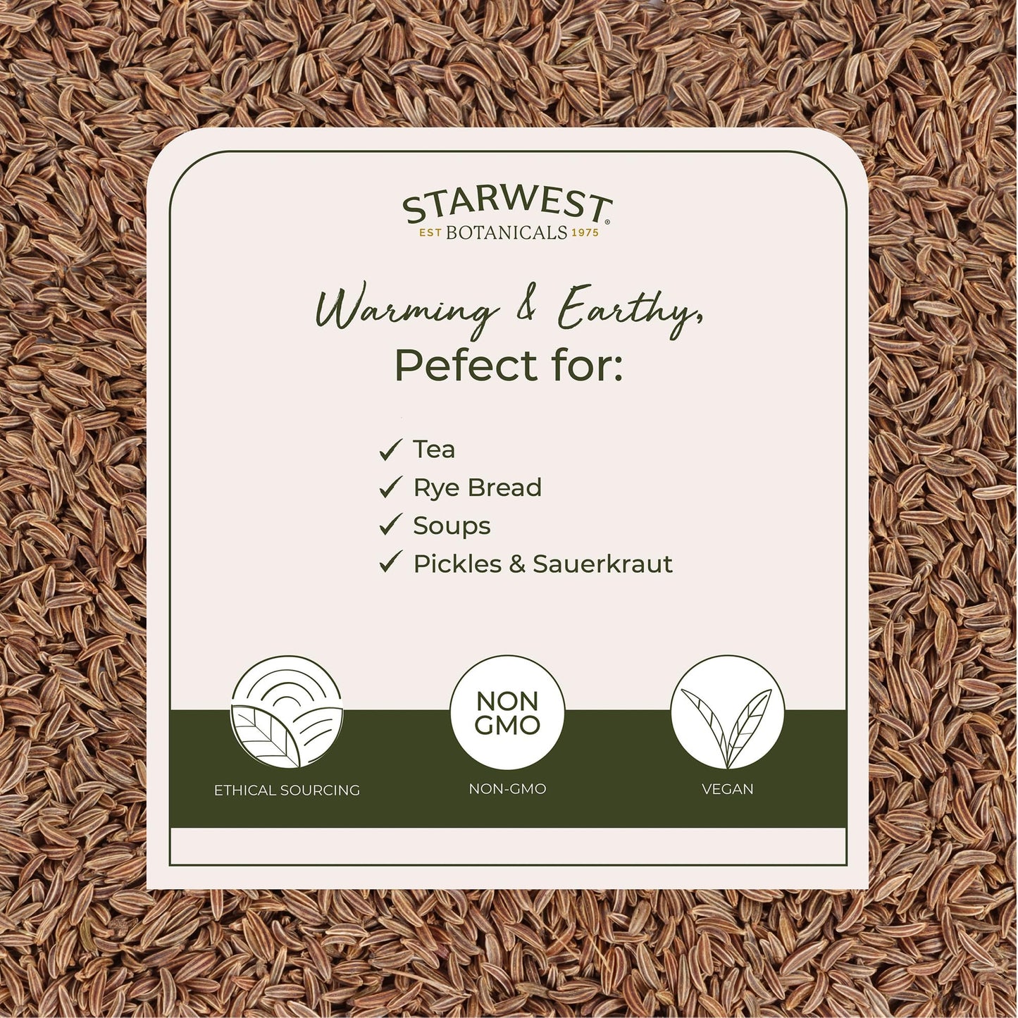 Starwest Botanicals Caraway Seed Organic - Seasoning Spice for Rye Bread, Sauerkraut, Harissa, Pickling, Baking & Cooking, Whole Caraway Seeds