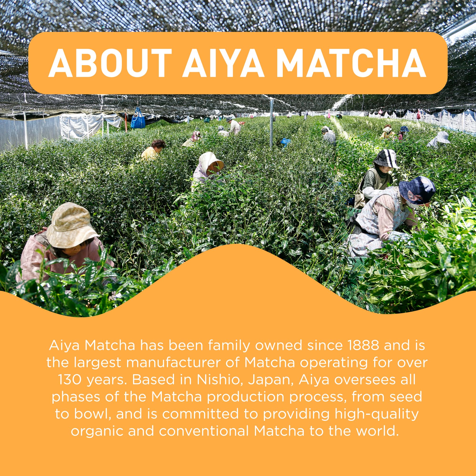 Aiya Matcha+ Awake™ - Lime Flavored Matcha Energy Drink Mix - 140mg Caffeine per Packet - Premium Japanese Matcha Green Tea Powder - On-the-Go Energy