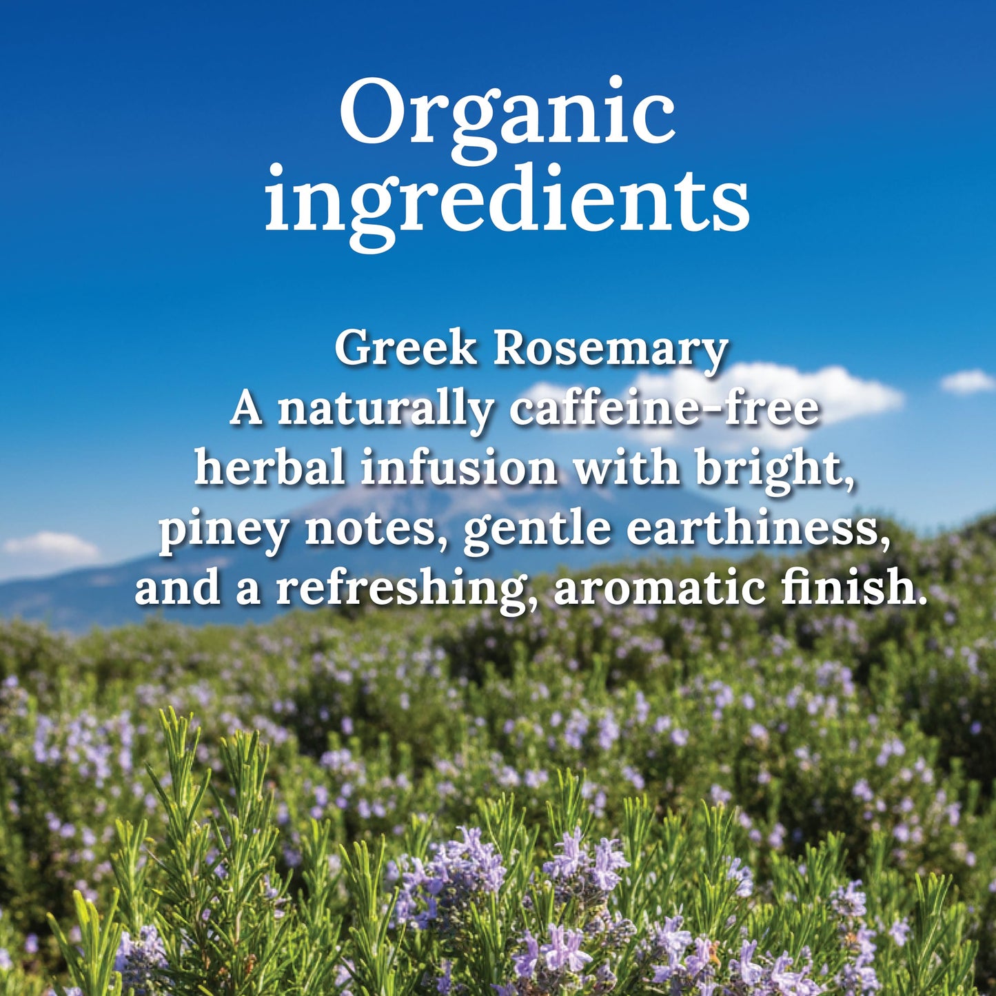 My Land Organic Dried Rosemary Leaves - 1.76 oz (50 g) | USDA Certified Organic Herb for Tea & Culinary Use | Naturally Aromatic Mediterranean