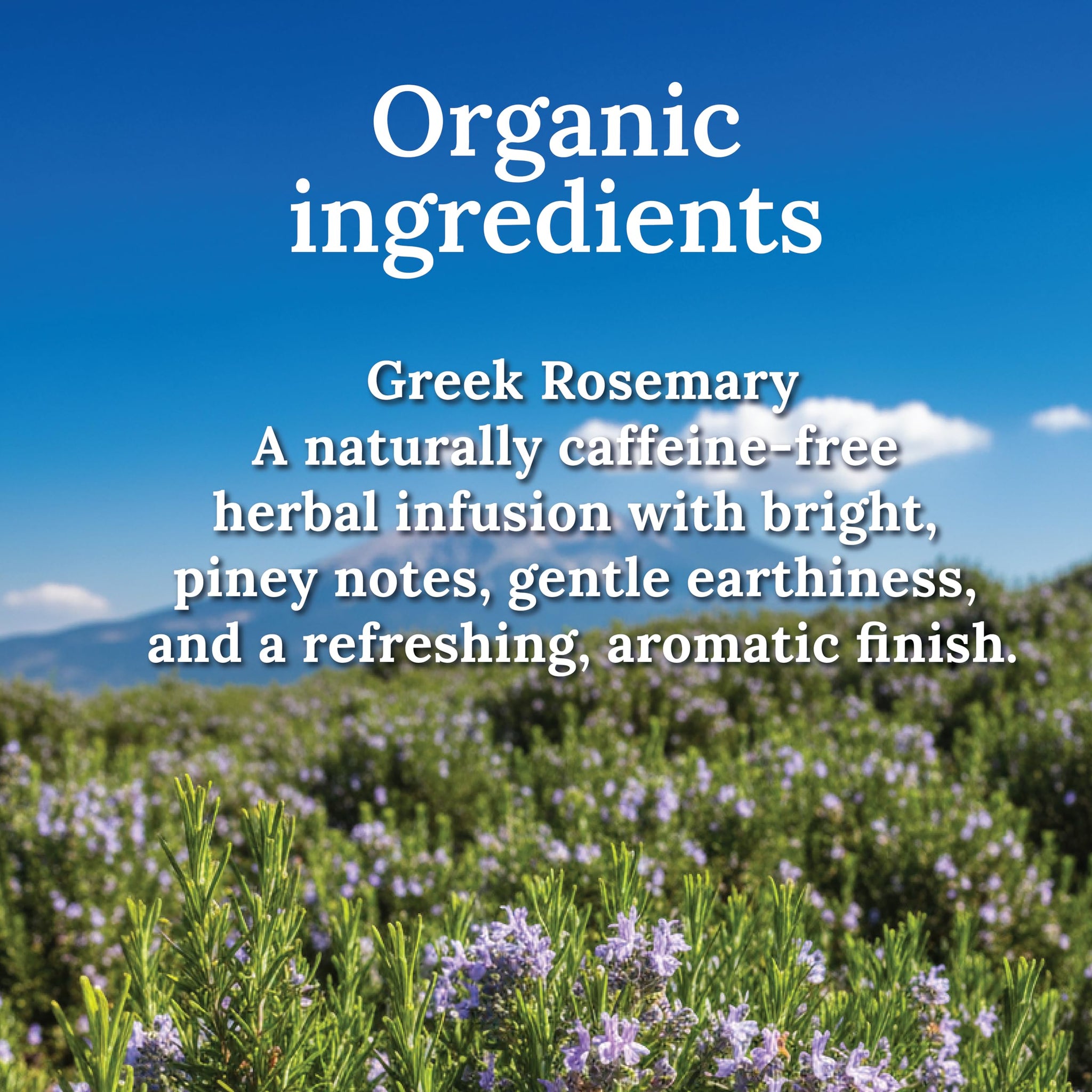 My Land Organic Dried Rosemary Leaves - 1.76 oz (50 g) | USDA Certified Organic Herb for Tea & Culinary Use | Naturally Aromatic Mediterranean