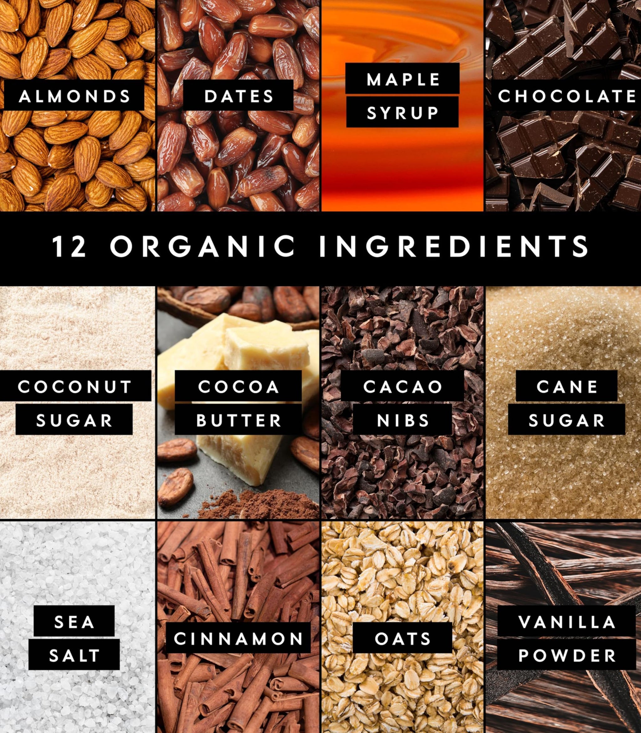 Truvani Plant Based Snack Bars | Oatmeal Chocolate Chip 1 Pack | 6g Protein | USDA Organic and Vegan | The Only Bar | Dairy, Soy, and Gluten Free |