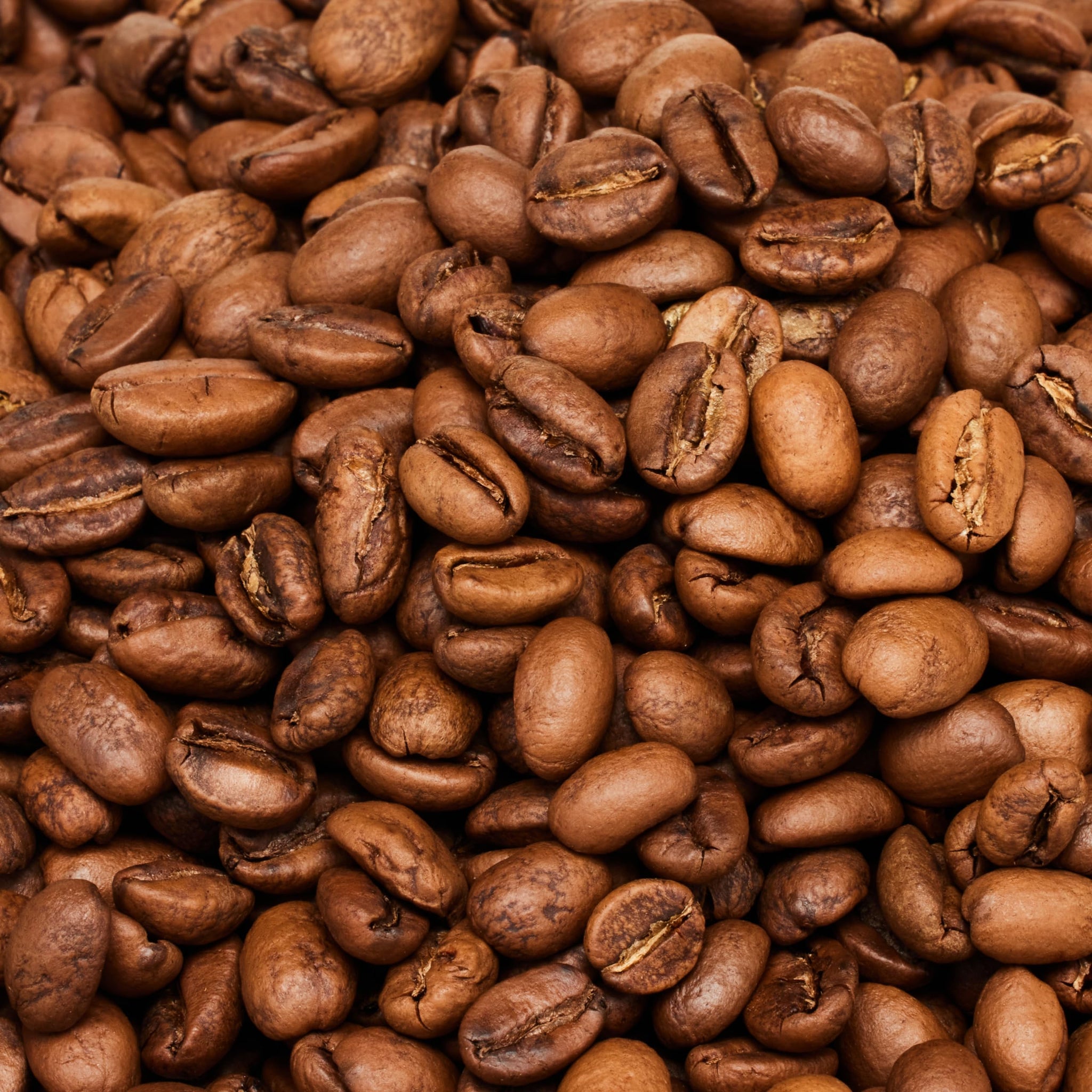 Afro Sheba Coffee - Whole Bean Medium Roast Coffee - Full Body - Ethiopian Single Origin - Ground - Low Acid - Washed & Natural - 1 lb (16 oz) (Guji)