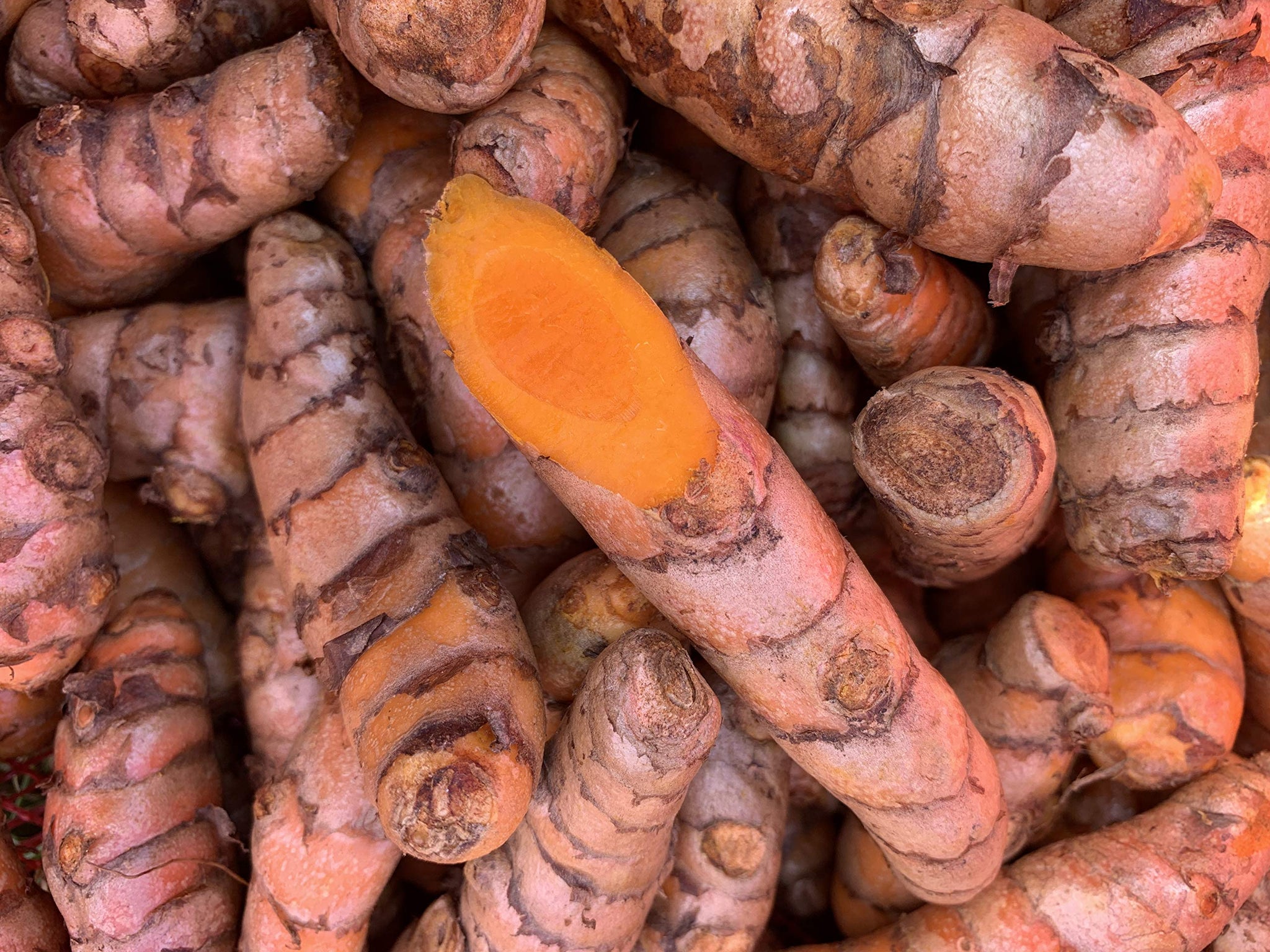 Kejora Fresh Turmeric - 4 lbs