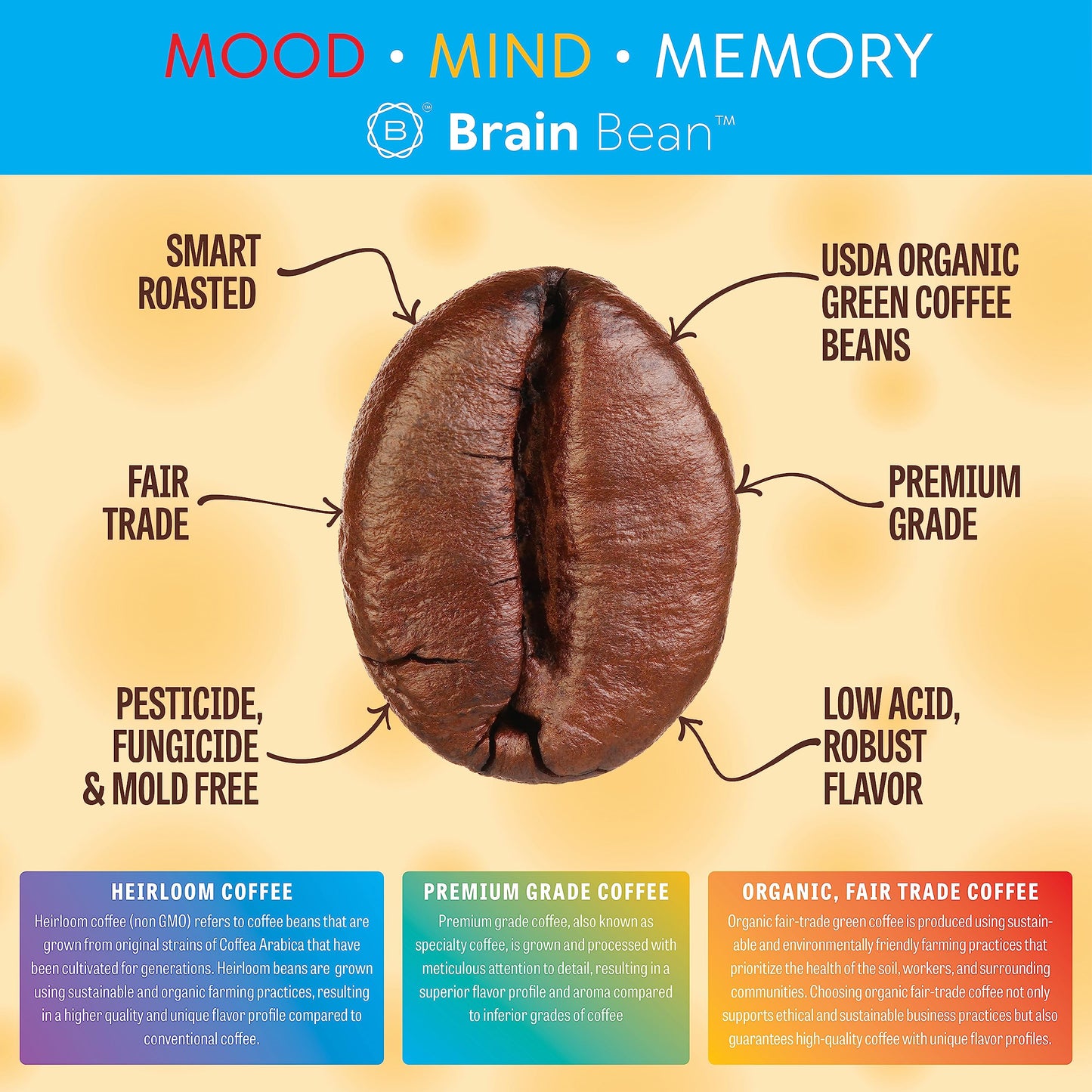 Brain Bean Organic Coffee - Smooth Taste & Rich Medium Roast - High Antioxidant & USDA certified organic for Cognitive Support, Mood Enhancement