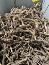 Wildcrafted OSHA Root (Bear Root) Ligusticum porteri Fresh Harvested from New Mexico 1 oz