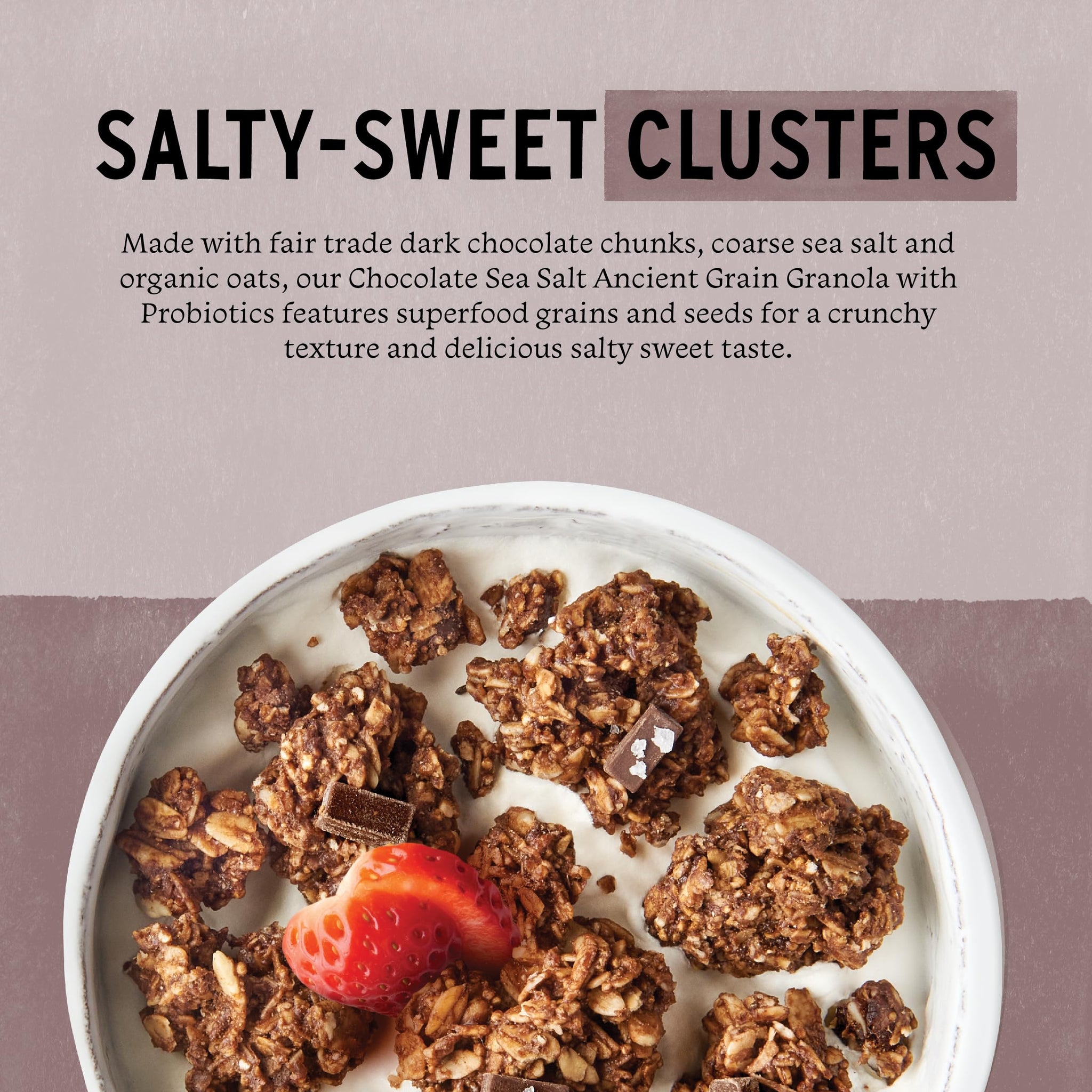 Purely Elizabeth, Chocolate Sea Salt, Ancient Grain Granola with Probiotics, Gluten-Free, 8 Ounce (Pack of 3)