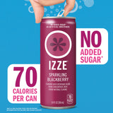 IZZE Sparkling Juice Beverage Blend, Blackberry, No Sugar Added, 8.4 FL OZ, 6 Cans