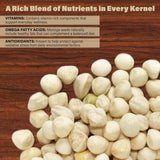 Moringa Seeds Kernel Shelled 2 lbs. Wide Mouth Jar - Clean PKM1 Variety - Edible - Moringa Oleifera - Malunggay - Semillas De Moringa - Drumstick Tree