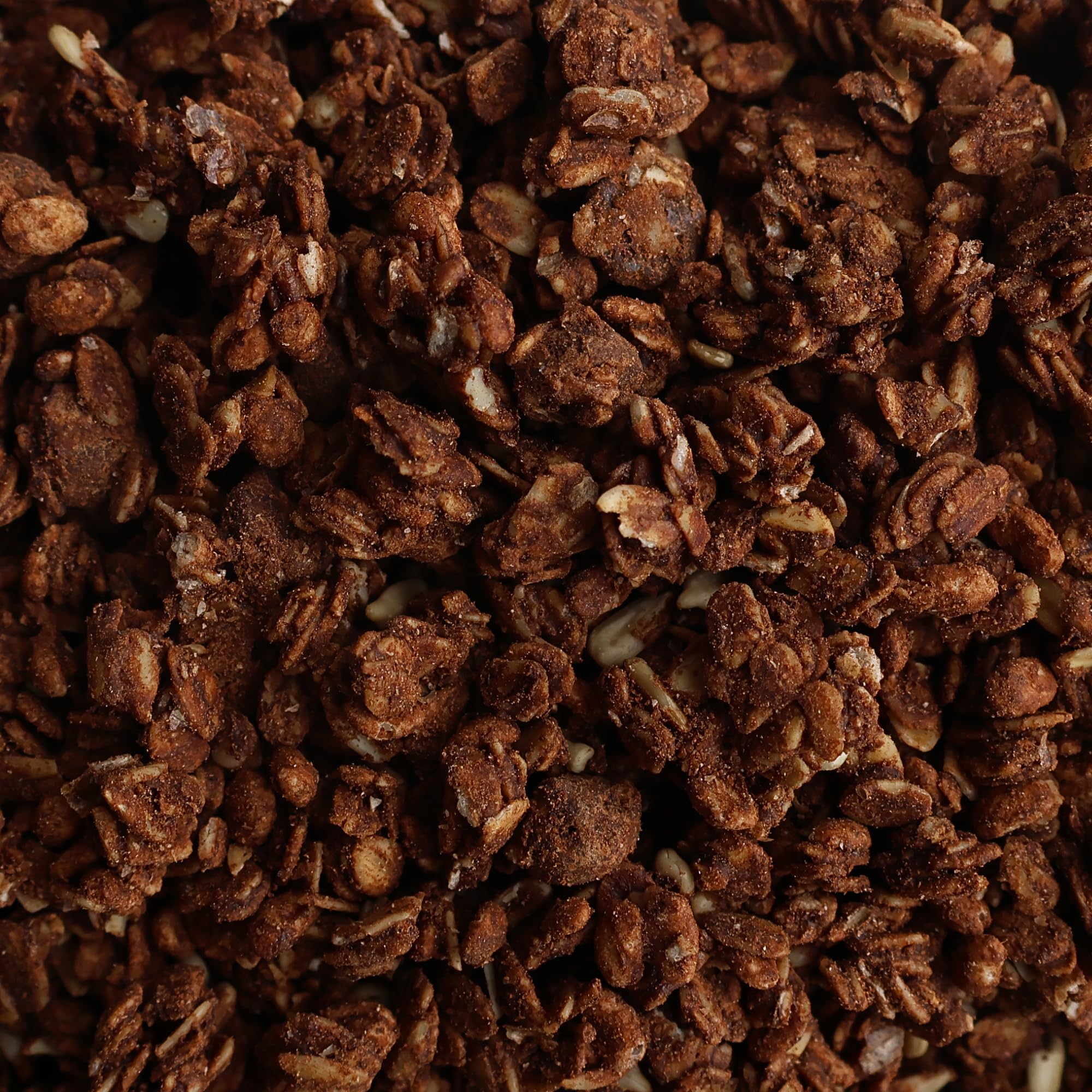 Grandy Organics 10lb Bulk Dark Chocolate Sea Salt Granola - Certified Organic & Gluten Free Granola - 6g Protein - Non GMO & Vegan - Chocolate, Seeds