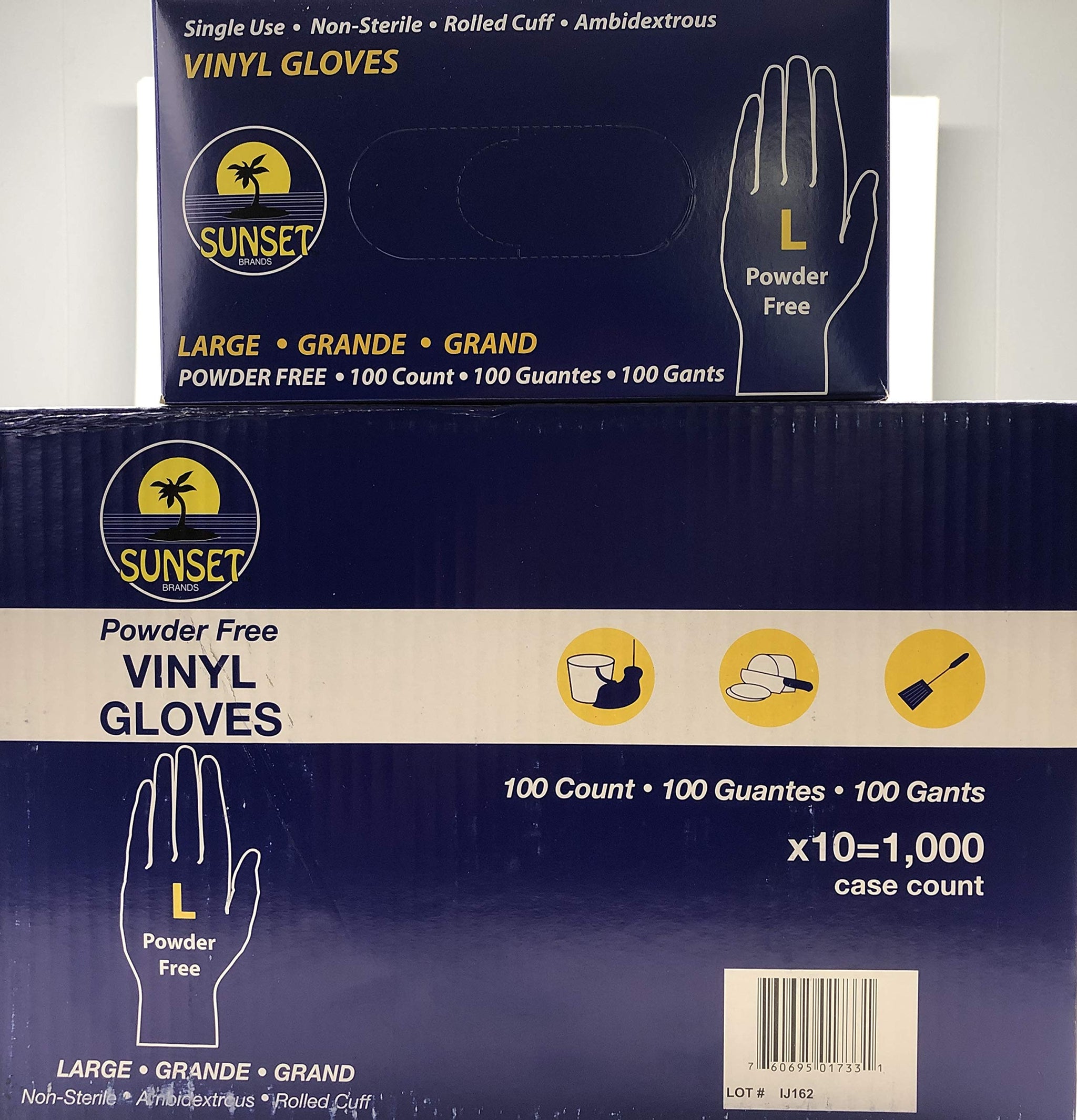 Sunset Powder Free Vinyl Gloves (Large)