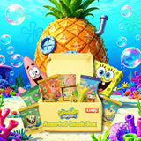 Assorted Snack Box by KANDIZ | 9 Count Variety Confectioneries Pack with Filled Biscuits, Gummies, Wafers & More | Ultimate Themed Treats Collection |