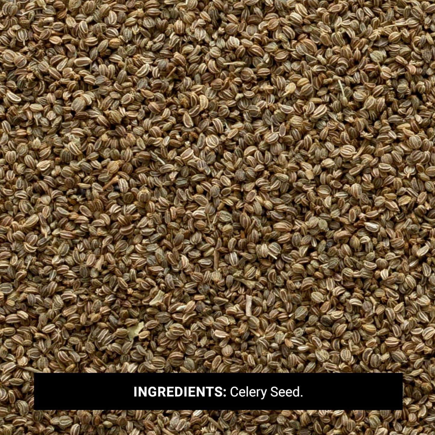Frontier Co-op Whole Celery Seed, 1-pound Bulk Bag, Great Texture in Salads, Key in Ethnic Dishes and Pickling, Kosher