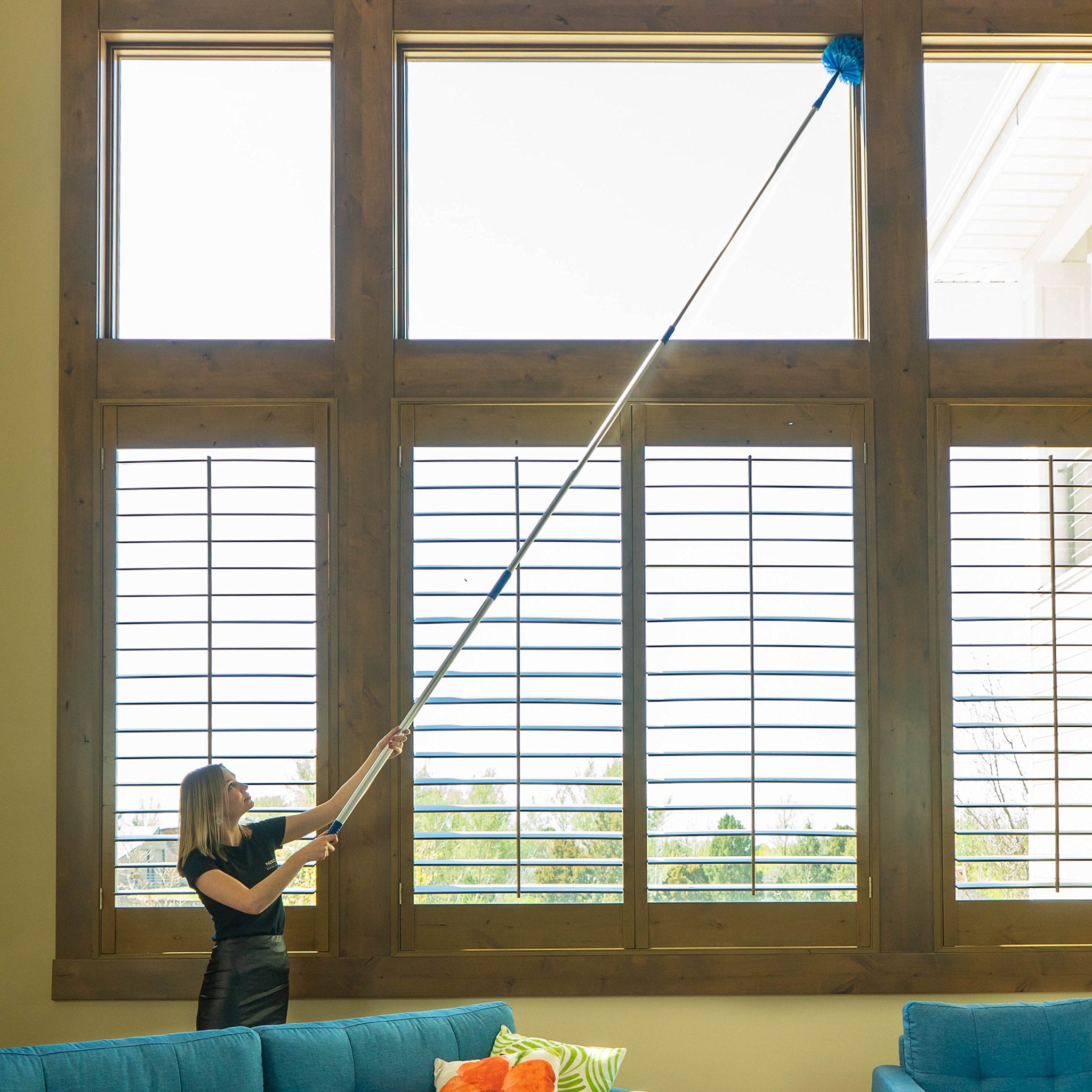 Webster Cobweb Duster and Spider Web Kit, Reach High Ceilings 18 To 20 Foot With Extension Pole and 3 Multi Use Heads