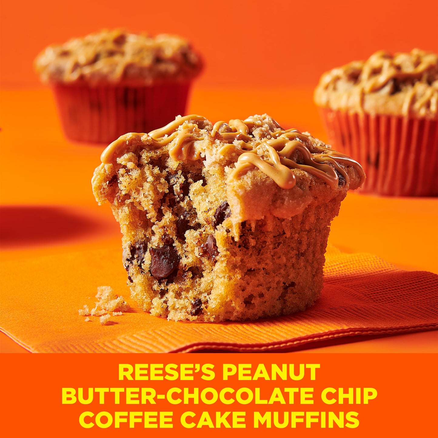 Betty Crocker REESE'S Peanut Butter Coffee Cake Mix with Mini REESE'S Peanut Butter Chips and Brown Sugar Streusel Topping, 14.2 oz