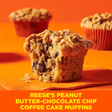 Betty Crocker REESE'S Peanut Butter Coffee Cake Mix with Mini REESE'S Peanut Butter Chips and Brown Sugar Streusel Topping, 14.2 oz