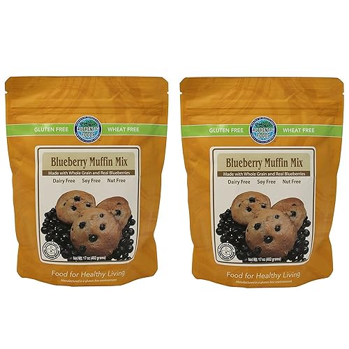 Authentic Foods Gluten Free Blueberry Muffin Mix - 2 Pack