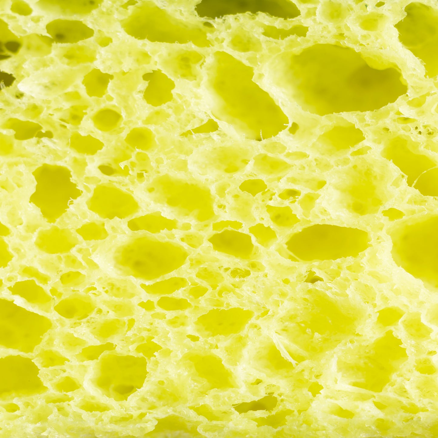 Scotch-Brite Heavy Duty Scrub Sponges, Stands Up to Stuck on Grime, 12 Count