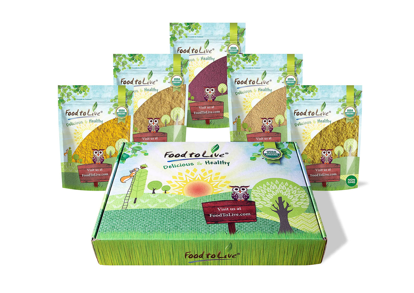 Food to Live Organic Essential Powders Gift Box - Unique Set with Organic Turmeric, Ginger, Garlic, Elderberry, and Broccoli Powders. Great Immunity