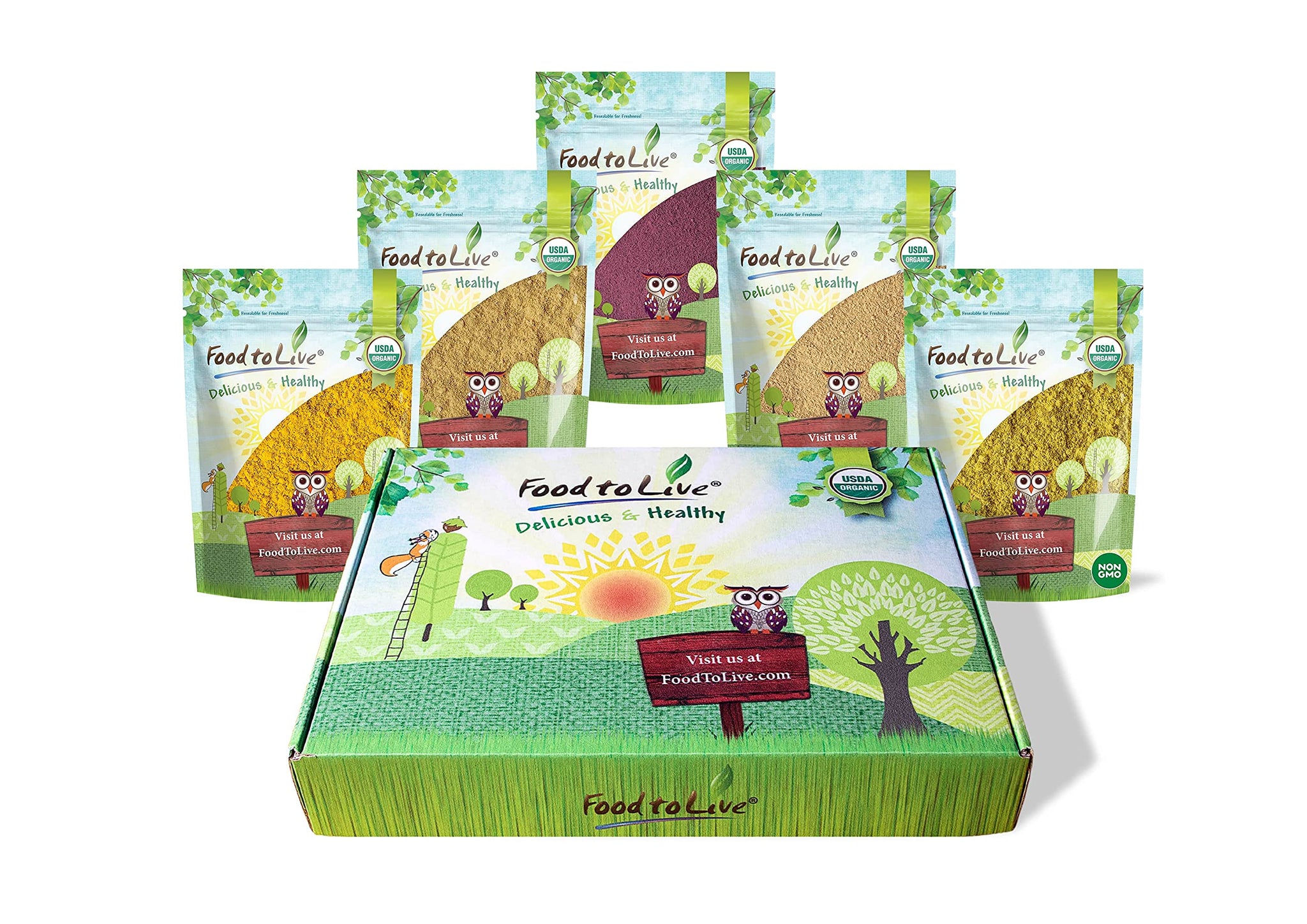 Food to Live Organic Essential Powders Gift Box - Unique Set with Organic Turmeric, Ginger, Garlic, Elderberry, and Broccoli Powders. Great Immunity