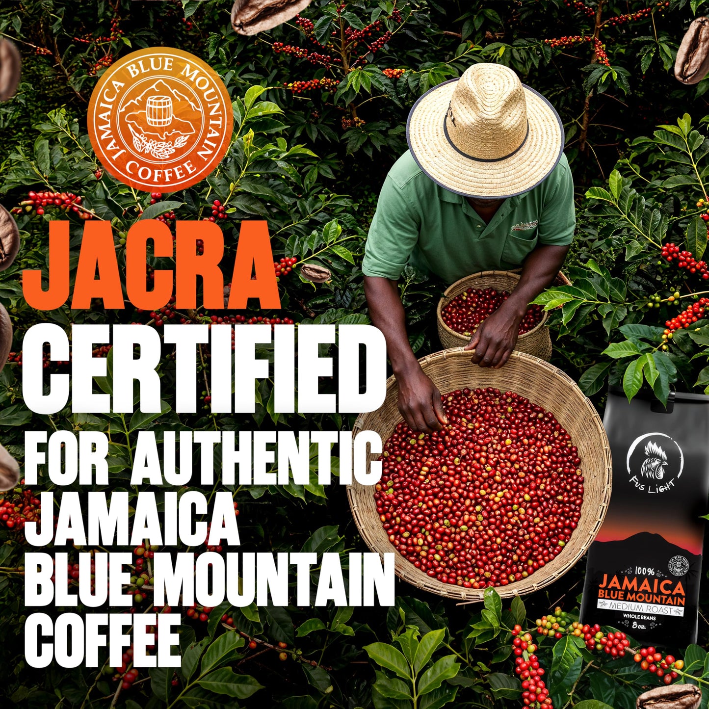Fus Light 100% Genuine Blue Mountain Coffee from Jamaica | Medium Roast Arabica Whole Beans | Farm to Cup Control | JACRA Certified Authentic Jamaican