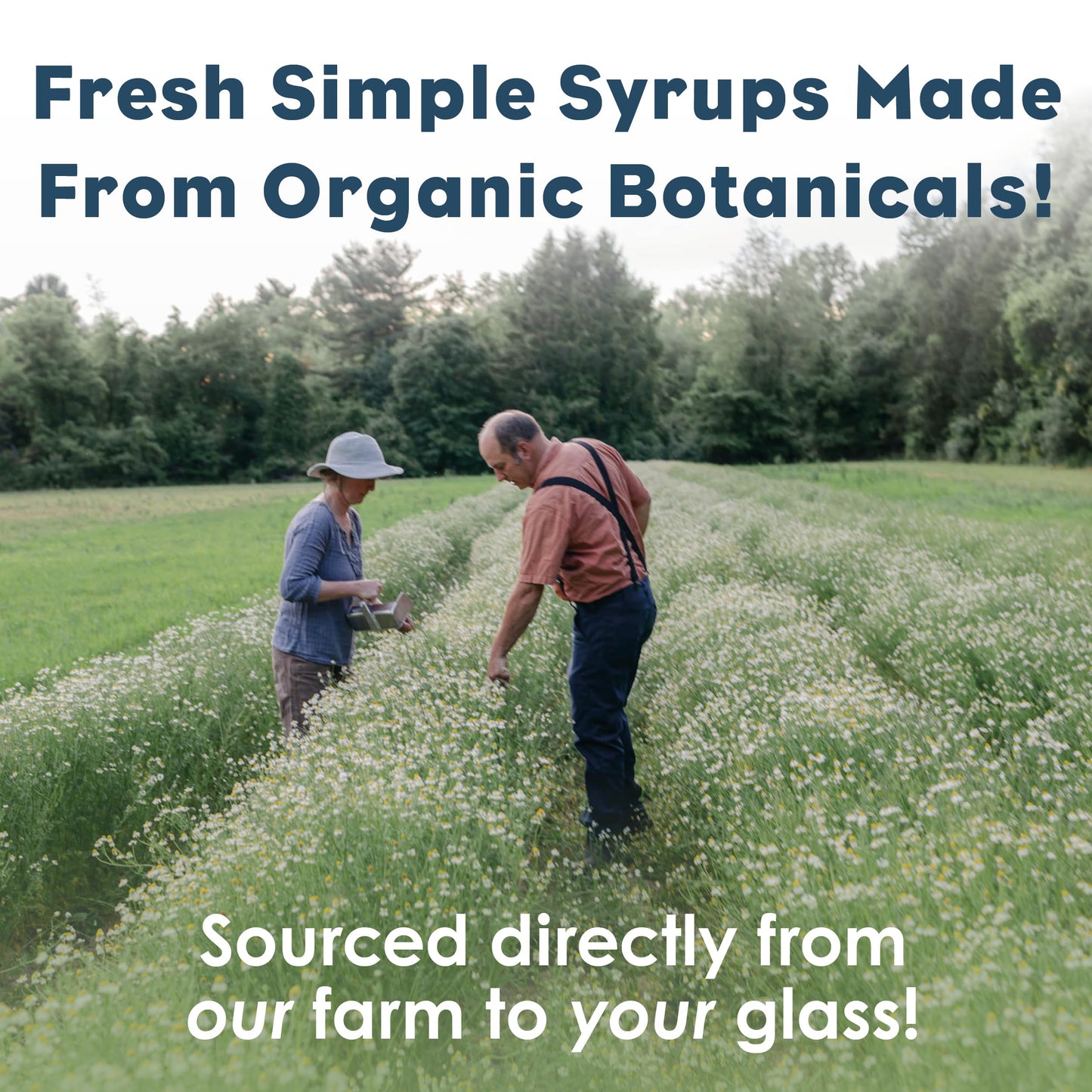 Bluestem Botanicals Organic Rosemary Simple Syrup, Mothers Day Gifts, 8 oz, Cocktail and Mocktail Mixer for Drinks, Non-Alcoholic