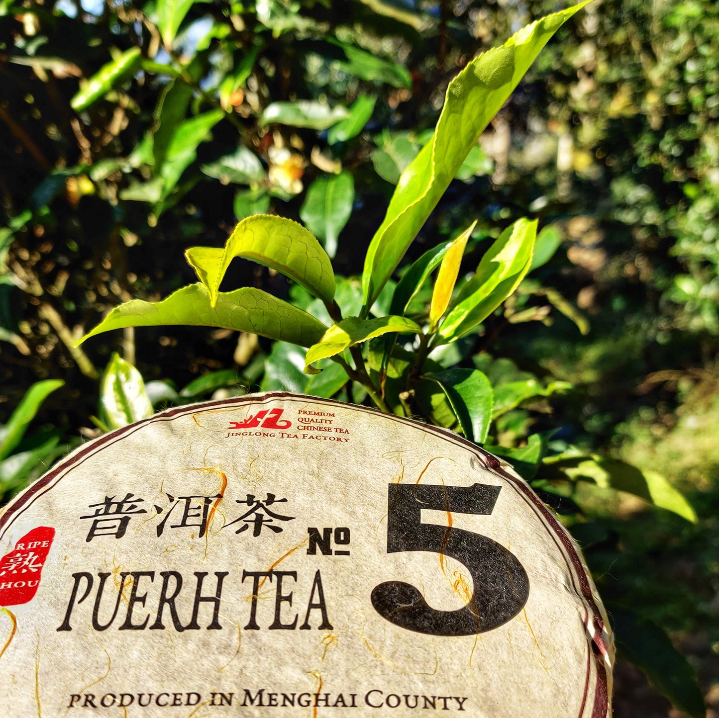 Jinglong Tea Factory - Puerh Tea No5 (80 Cups) Ripe Pu-erh Tea Mini Cake (7.1 Ounce)