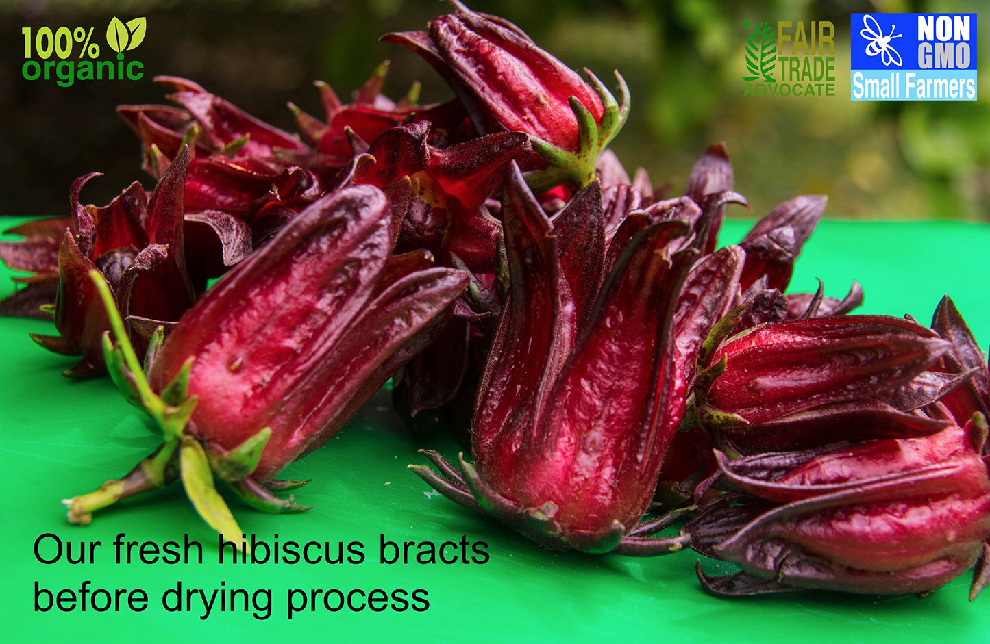 Sorrel Hibiscus Flowers (2 x 3Oz.) Herbal Tea Whole Petal 6 Oz - 100% Natural Dried Raw - Non GMO - Vegan - USFDA Inspected - Makes Refreshing Iced