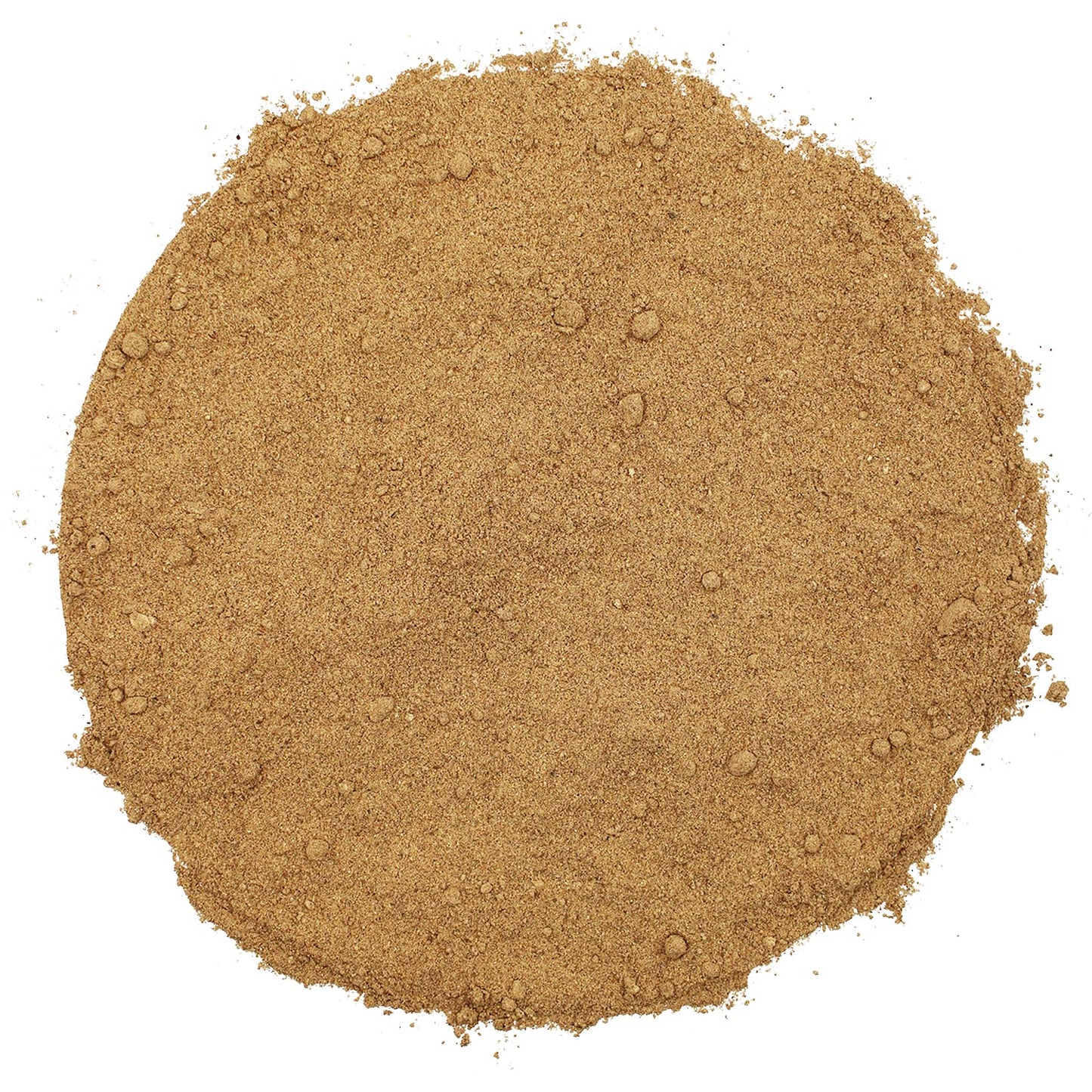 Spice Enthusiast Gingerbread Spice - 6 oz