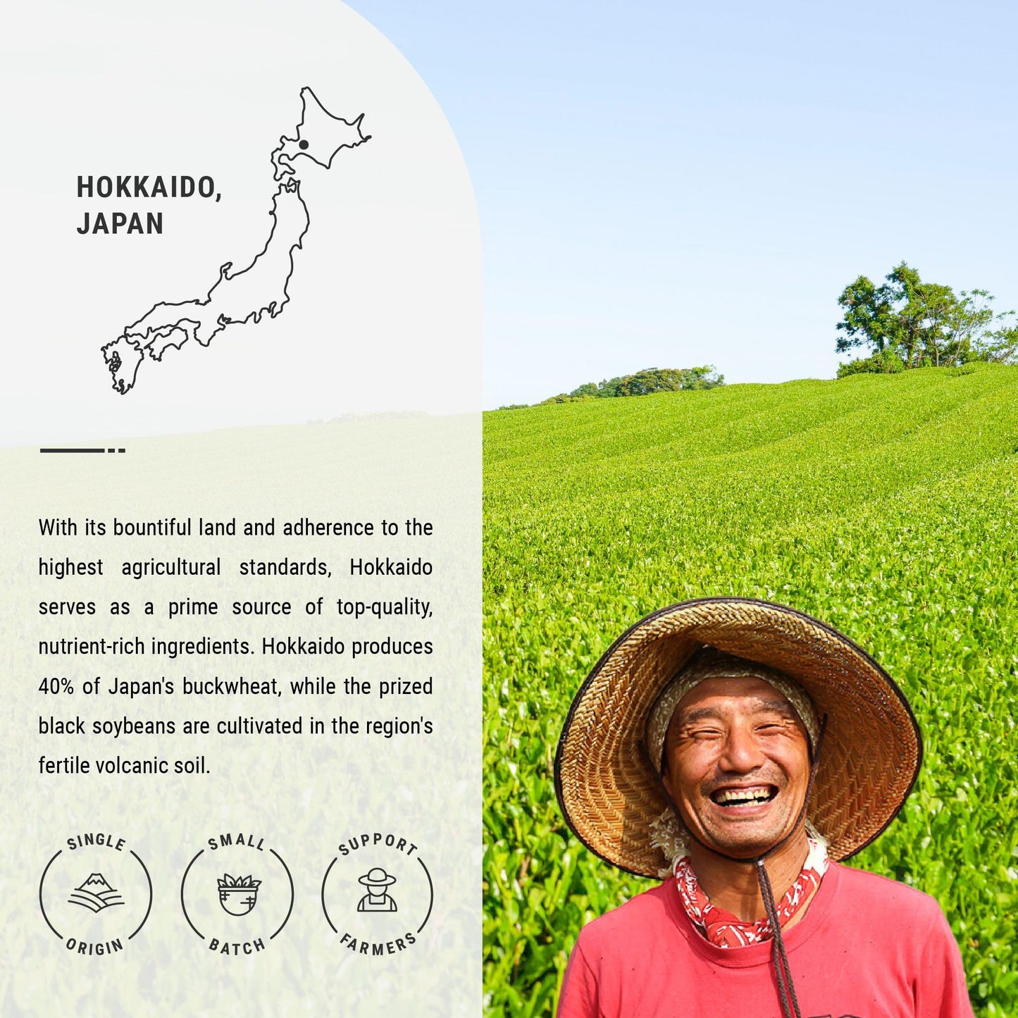 Senbird Premium Kuromamecha - Japanese Black Soybean Tea - From Hokkaido, Japan - Loose Leaf Kuromame in Airtight Tea Tin (5.3oz/150g)