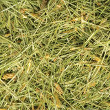 White Pine Needle Tea, Wild-Harvested in Wisconsin | 6.0 oz | 85 Servings | Loose Leaf | Herbal Tea & Medicinal Herbs | Regenerative Farming | Single