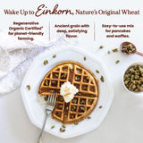 Jovial Organic Einkorn Pancake & Waffle Mix - Pancake Mix, Premium Batter Flour for Waffle Maker, Fast & Easy Breakfast Food, Non-GMO, USDA Organic - 16 oz (Pack of 3)