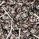 Chocolate Lollipops Bulk 30 Count (Approx 1.25lbs) by Snackivore. With chewy chocolate center.