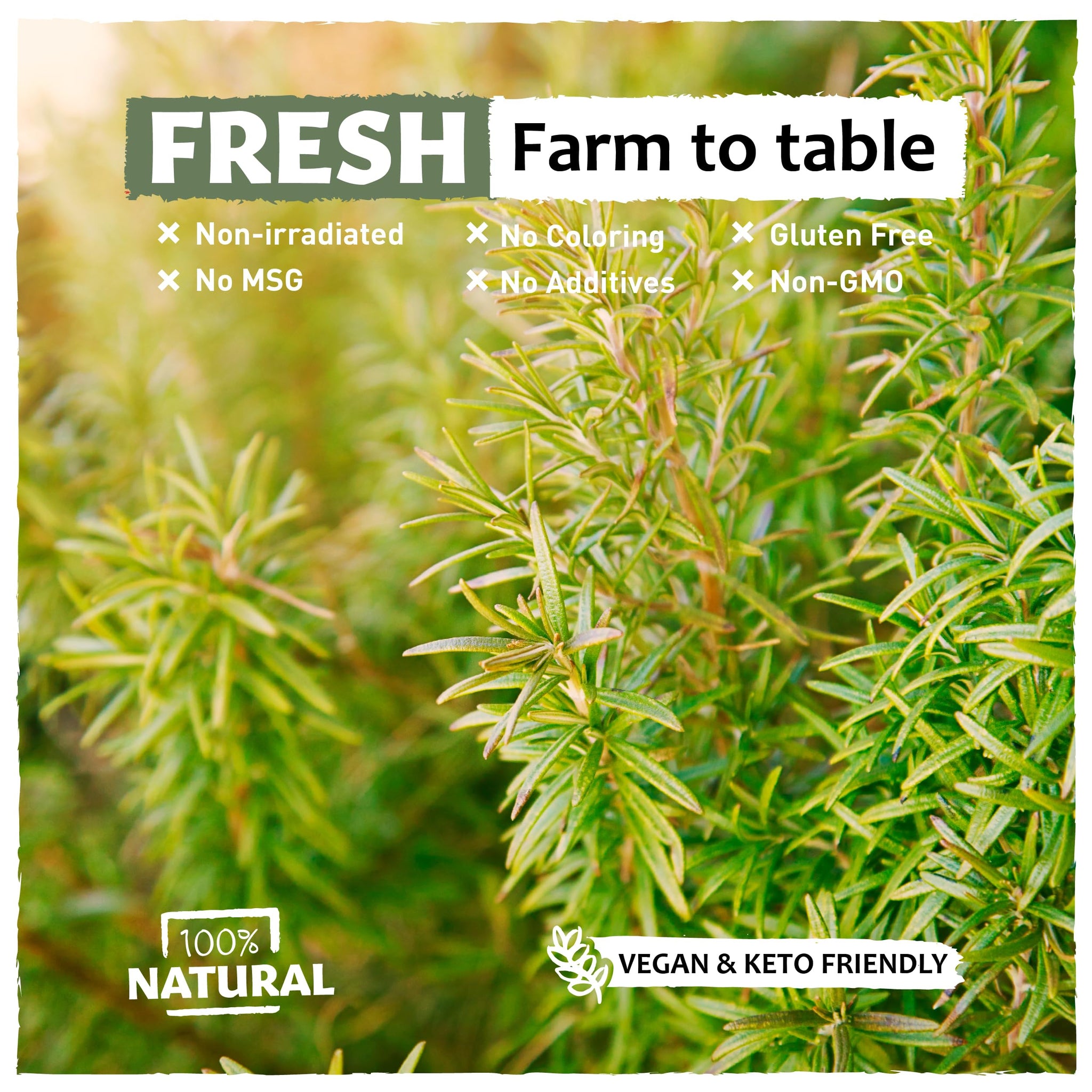 Eastanbul Rosemary Leaves 3.2oz, Dried Rosemary Seasoning, Natural, Freshly Picked Vegan Rosemary Herb, Rosemary Spice for Savory & Sweet Recipes