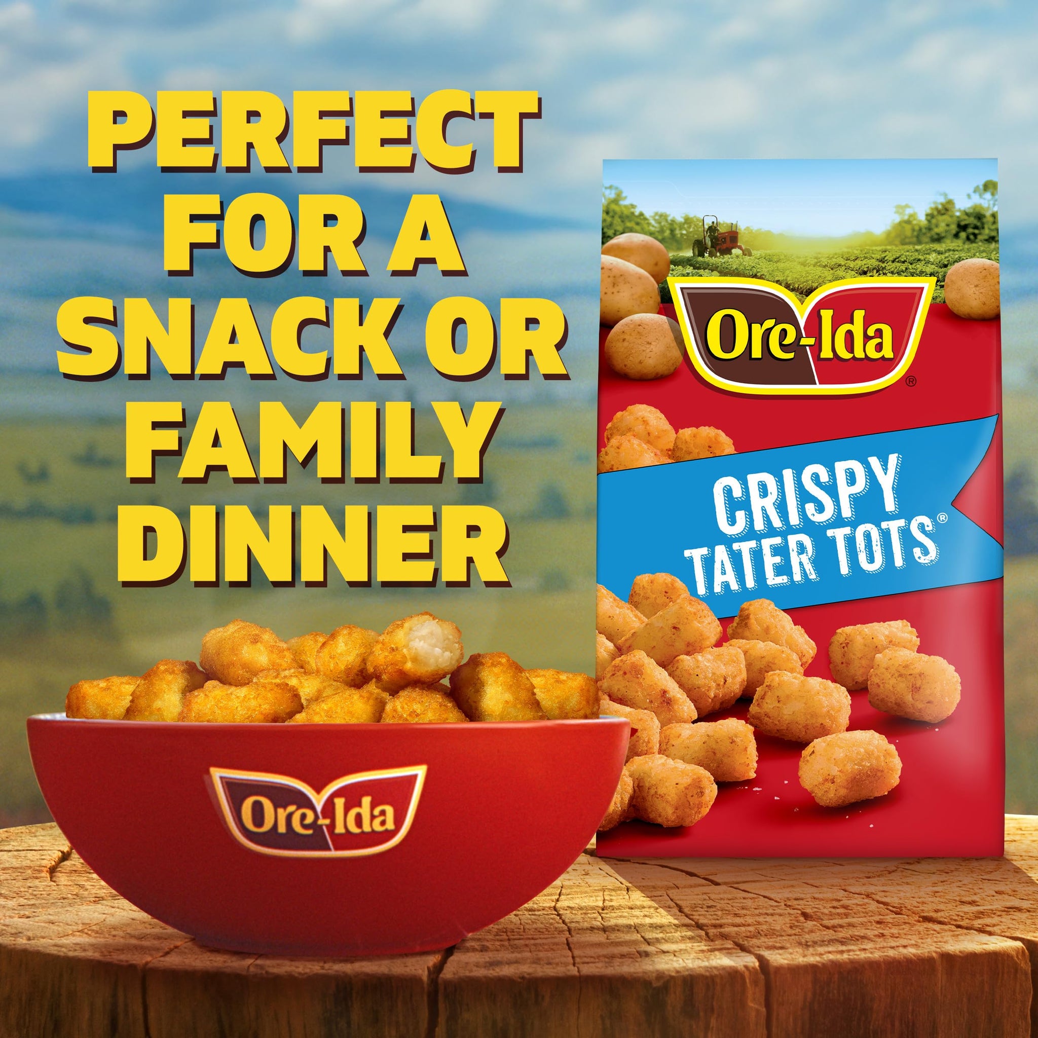 Ore-Ida Crispy Tater Tots Seasoned Shredded Frozen Potatoes, 1 Bag, for Easy Snacks and Dinner Sides, Gluten-Free, 32 oz