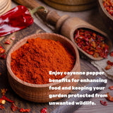 Ground Cayenne Pepper Powder, 5 Pounds - Extra Hot 80,000 Heat Units - Raw Spicy Red Pepper Flavor - Great Home Cooking Spice - Deters Animals from