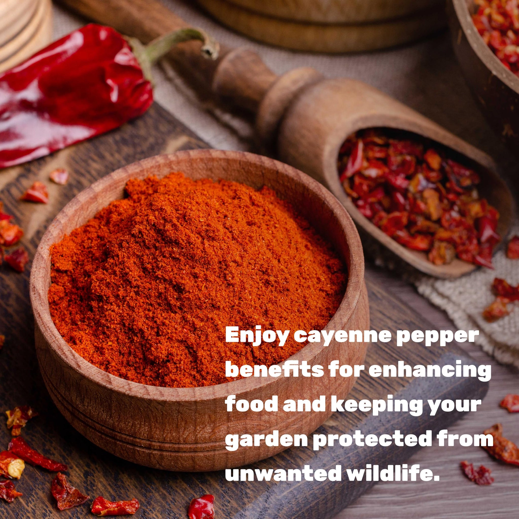 Ground Cayenne Pepper Powder, 5 Pounds - Extra Hot 80,000 Heat Units - Raw Spicy Red Pepper Flavor - Great Home Cooking Spice - Deters Animals from