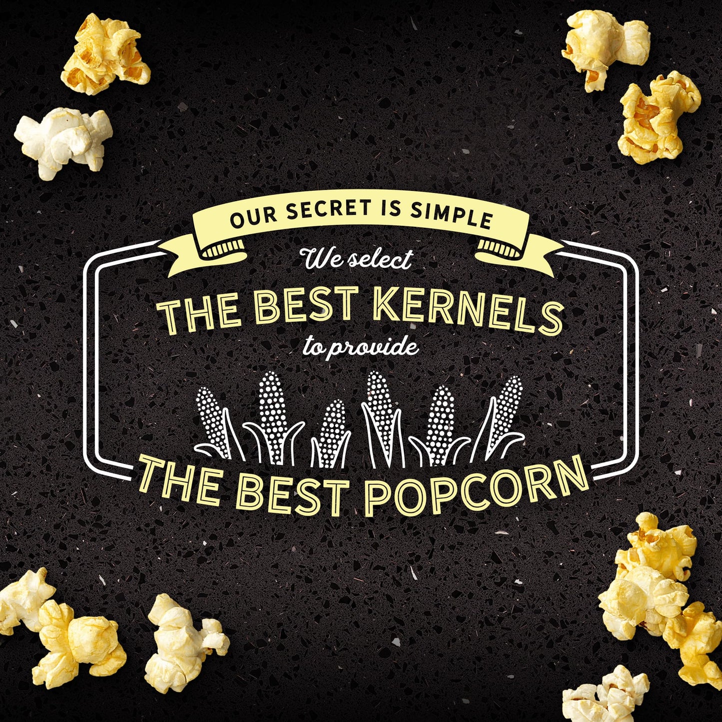 AMC Theatres Microwave Popcorn, Variety Pack with Cinnamon Butter, 2.75 oz (6 Boxes, 36 Count)