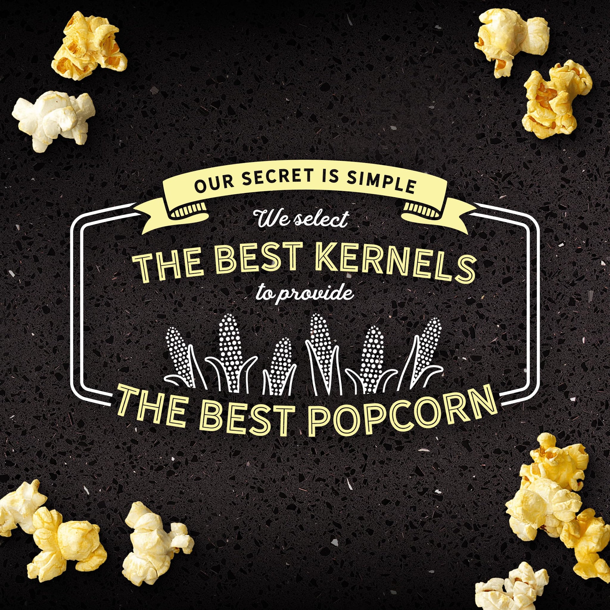AMC Theatres Microwave Popcorn, Variety Pack with Cinnamon Butter, 2.75 oz (6 Boxes, 36 Count)