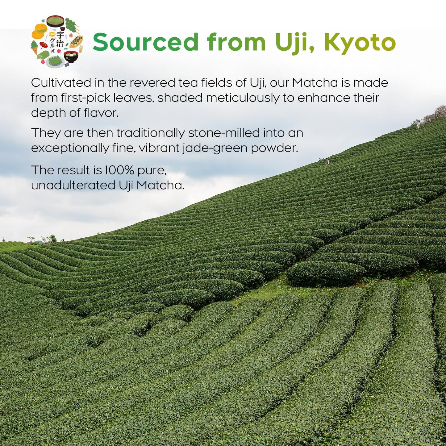 Peralpow Ceremonial Grade Matcha - Authentic Japanese First Harvest Ceremonial Blend Green Tea Powder from Uji, Kyoto (70g / 2.47oz)