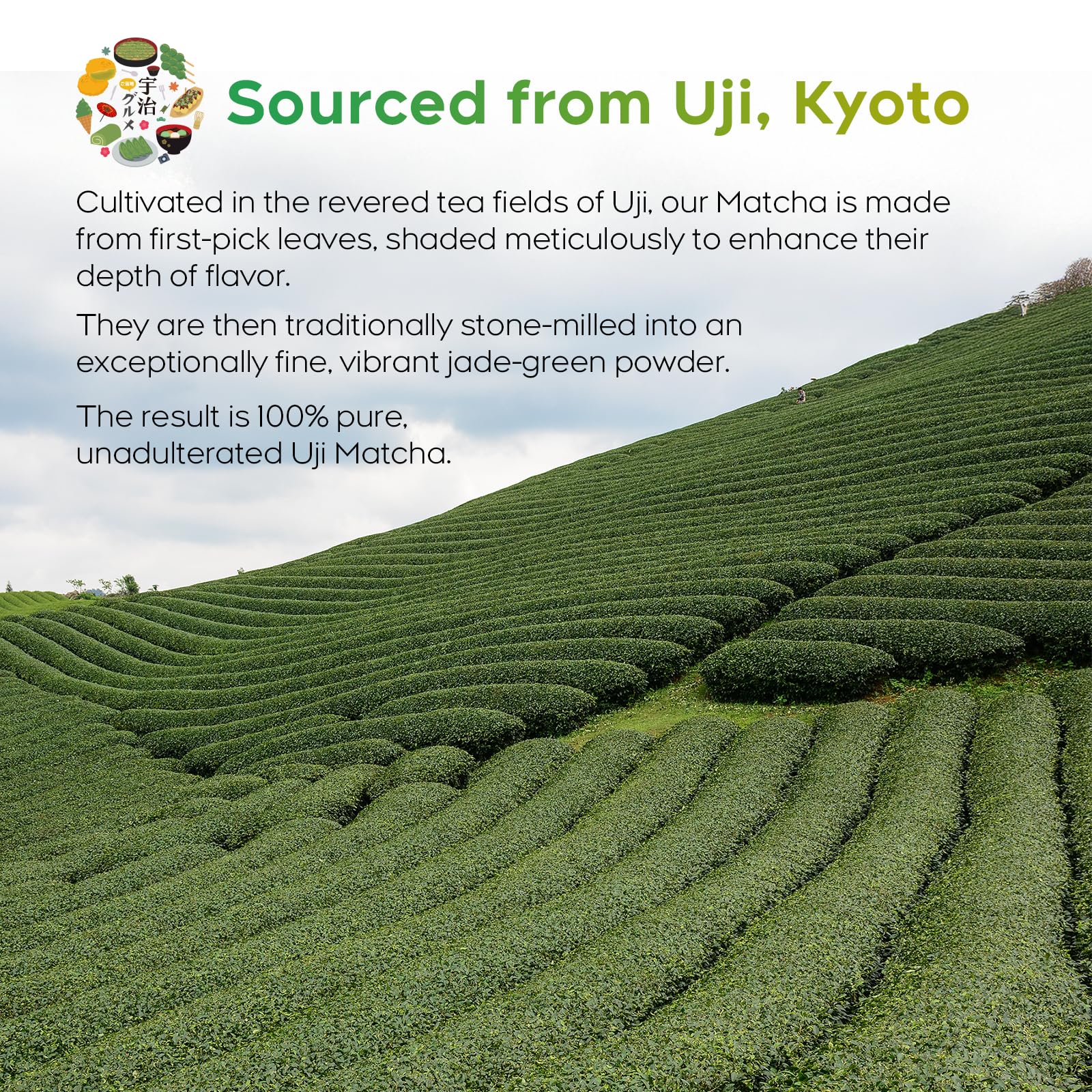 Peralpow Ceremonial Grade Matcha - Authentic Japanese First Harvest Ceremonial Blend Green Tea Powder from Uji, Kyoto (70g / 2.47oz)